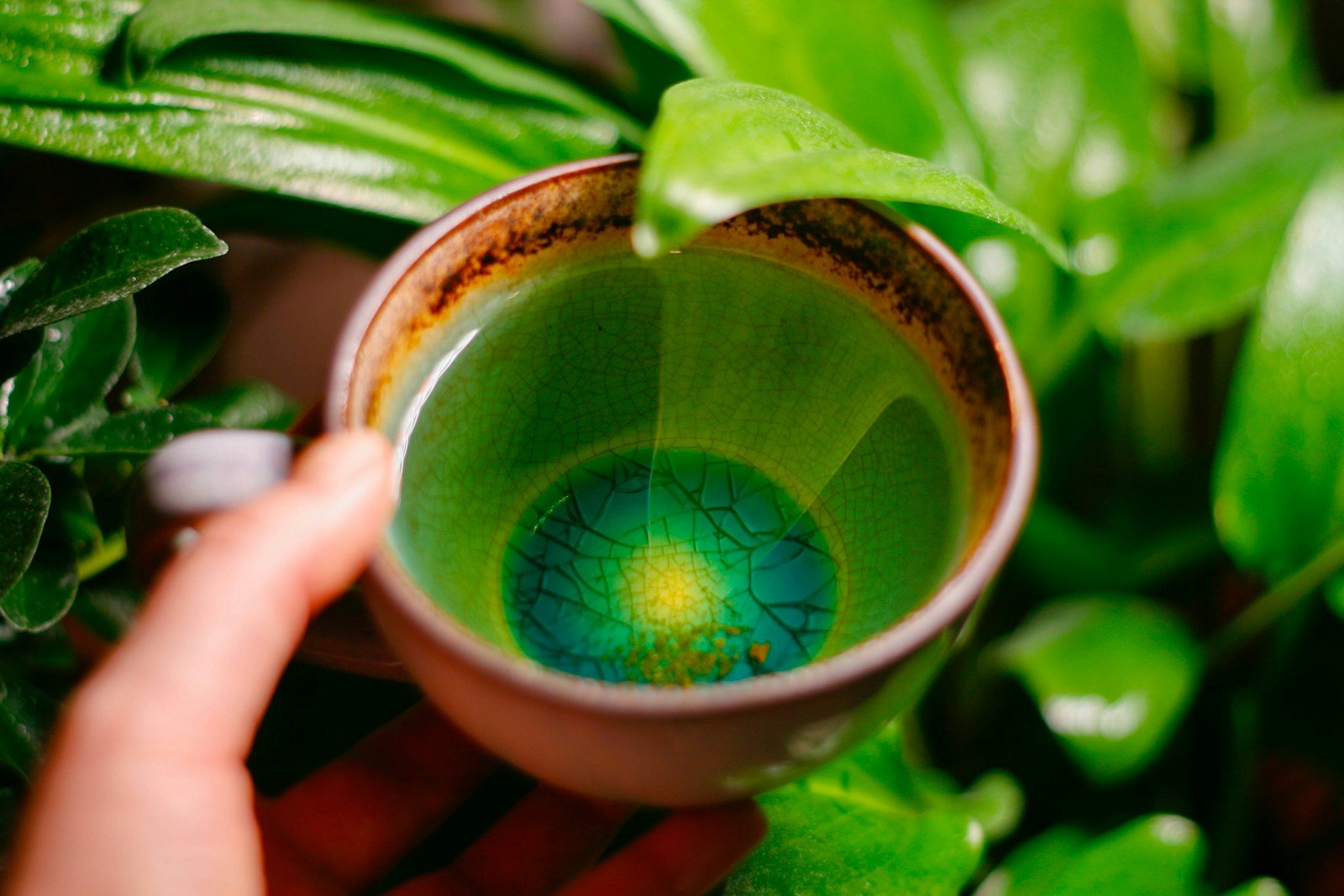 a person holding a green cup with a blue center